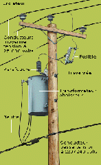 Diagram of components found on a distribution pole