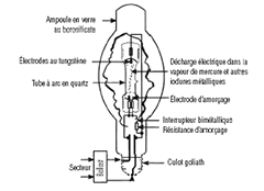 Coupe d'une lampe à arc électrique.